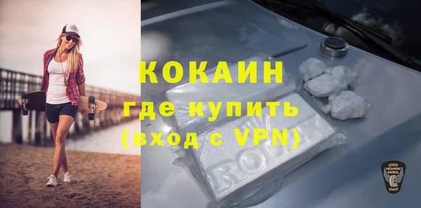 индика Арсеньев
