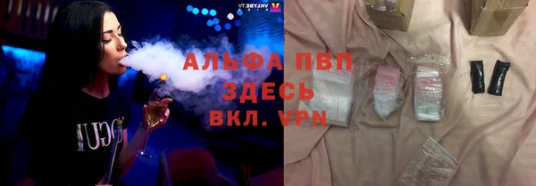 индика Арсеньев