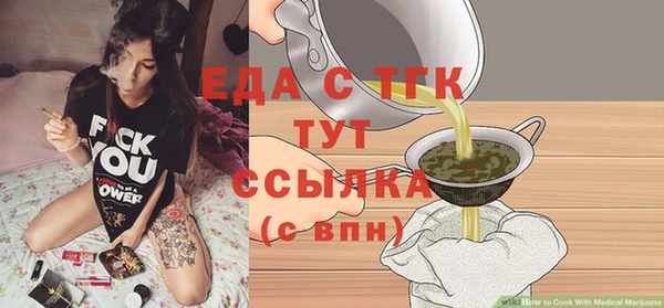 индика Арсеньев