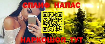 spice Гусев