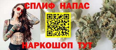 spice Гусев