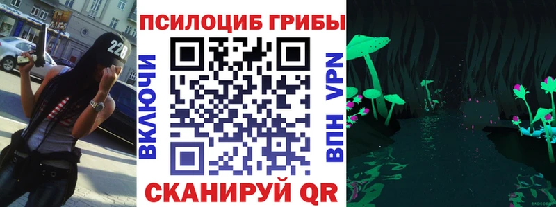Псилоцибиновые грибы Psilocybine cubensis  Обнинск 