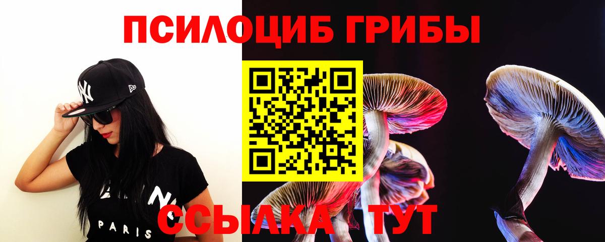 Обнинск  Галлюциногенные грибы Psilocybe  Вход с VPN 