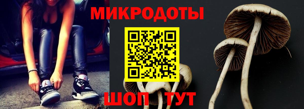 Галлюциногенные грибы прущие грибы Обнинск